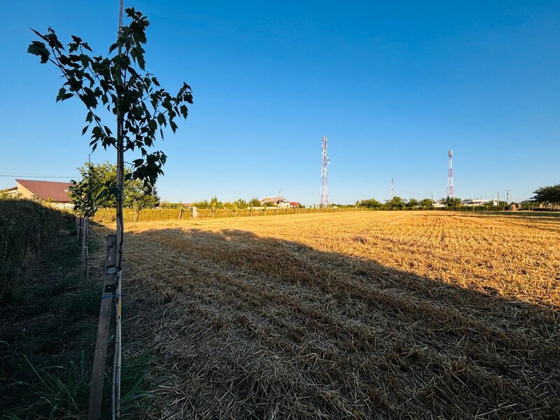 Strada Brebenei 1, Lilieci, Ialomita